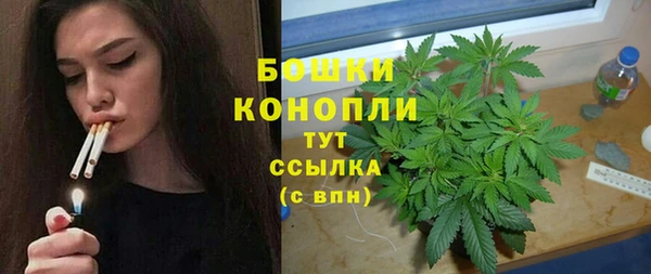 хмурый Зеленокумск