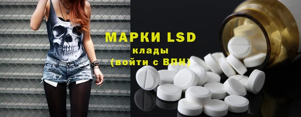 хмурый Зеленокумск